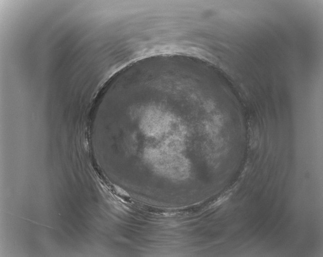 X0000060551497200511171525