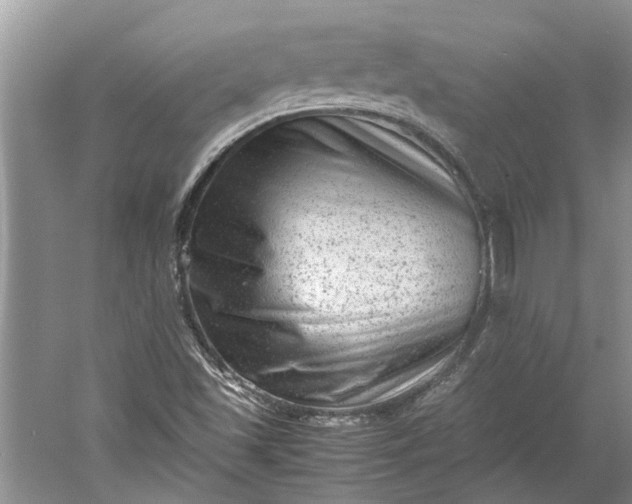 X0000060551501200511171525