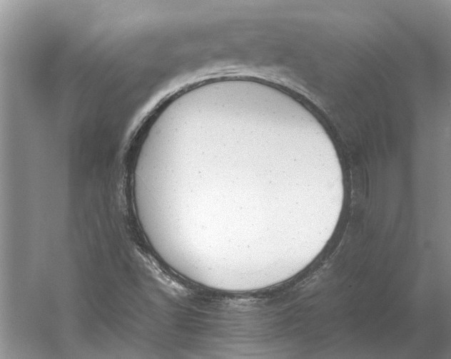 X0000060551502200511171525