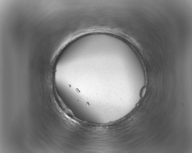 X0000060551504200511171525