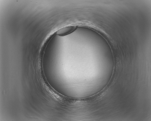 X0000060551506200511171525