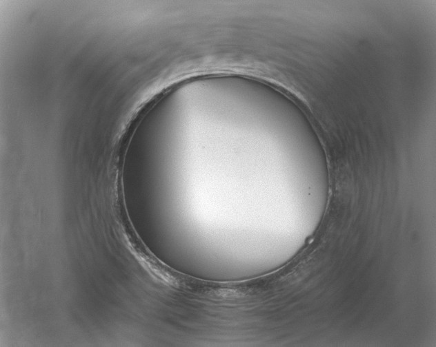 X0000060551507200511171525