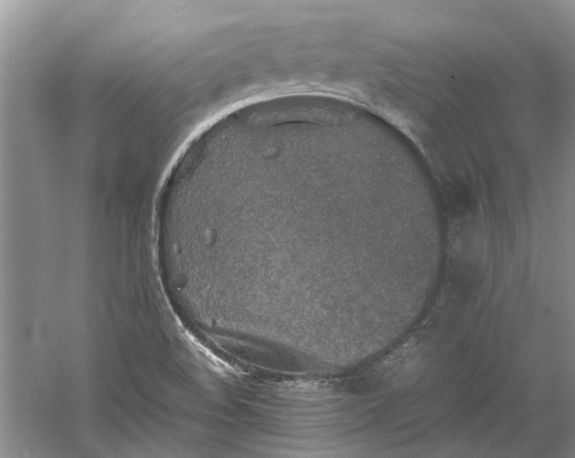 X0000060551508200511171525