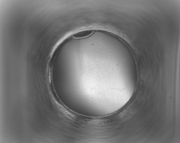 X0000060551510200511171525