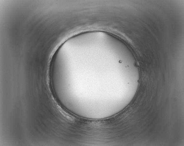 X0000060551512200511171525