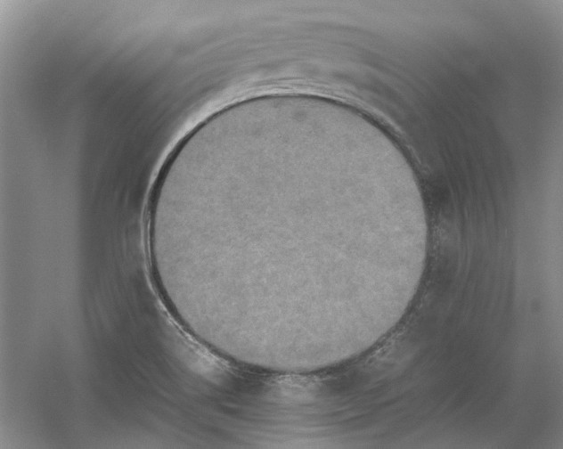 X0000060551514200511171525