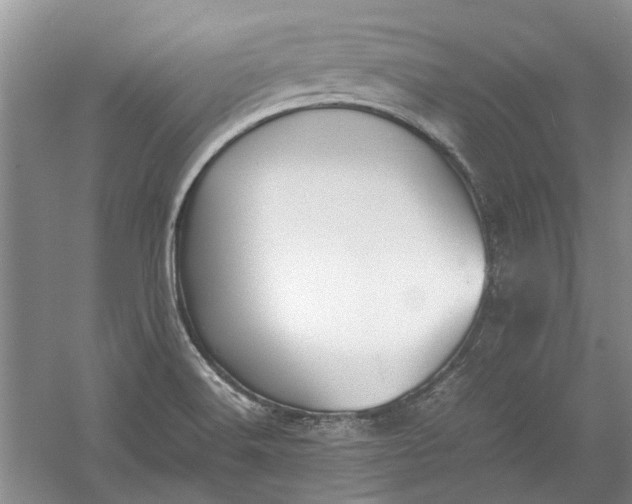 X0000060551516200511171525