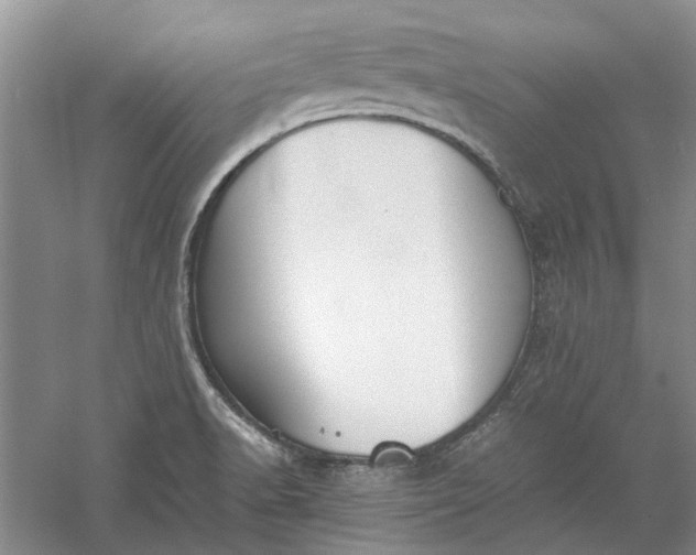 X0000060551518200511171525