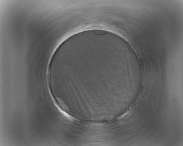 X0000060551519200511171525