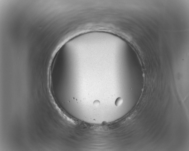 X0000060551520200511171525