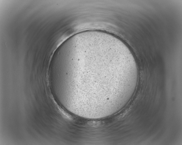 X0000060551521200511171525