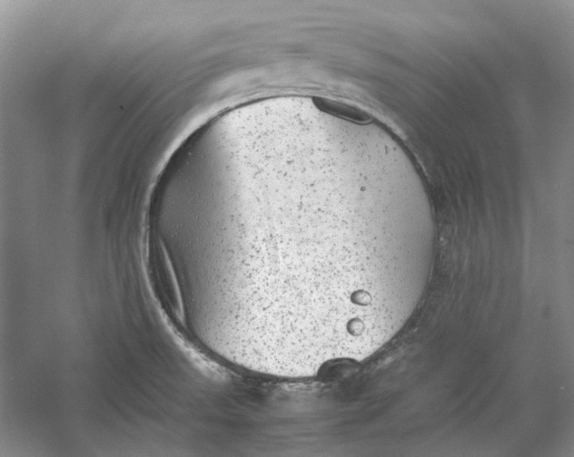 X0000060551523200511171525