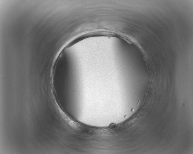 X0000060551524200511171525