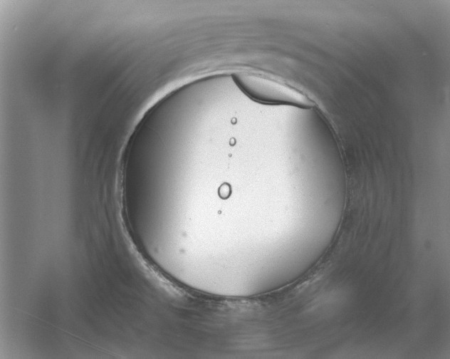 X0000060551526200511171525