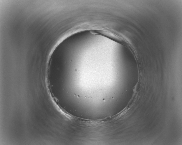 X0000060551528200511171525