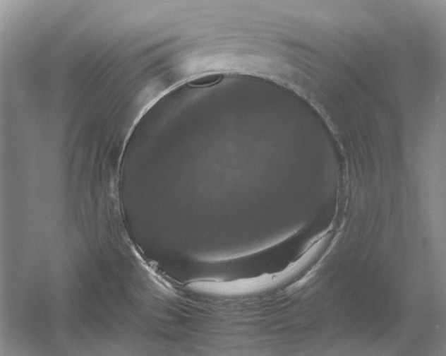 X0000060551529200511171525