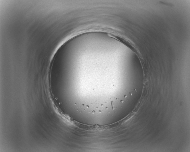 X0000060551530200511171525