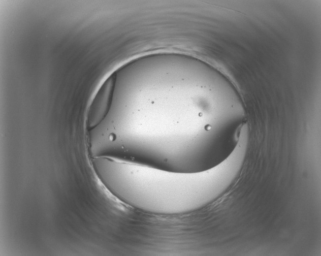 X0000060551532200511171525