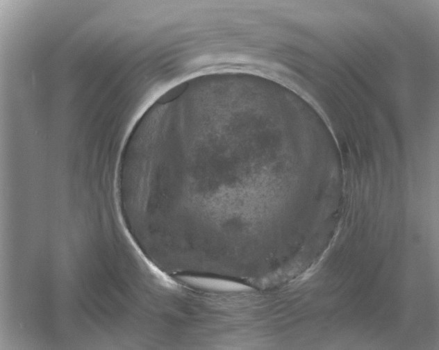 X0000060551533200511171525