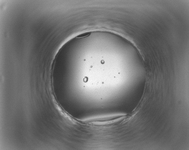 X0000060551534200511171525