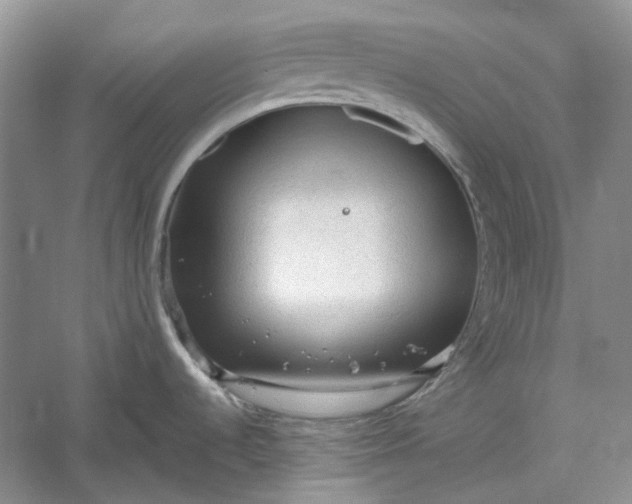 X0000060551536200511171526