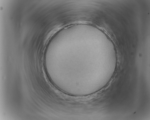 X0000060550001200511241237