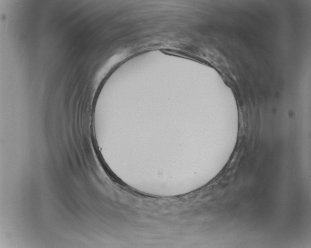 X0000060550003200511241237