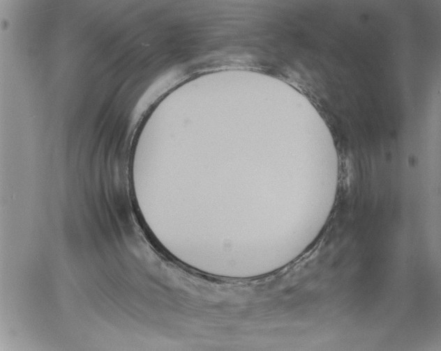 X0000060550004200511241237