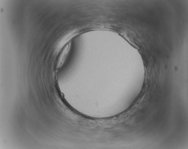 X0000060550005200511241237