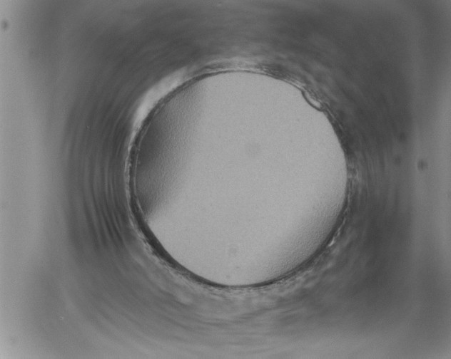 X0000060550006200511241237