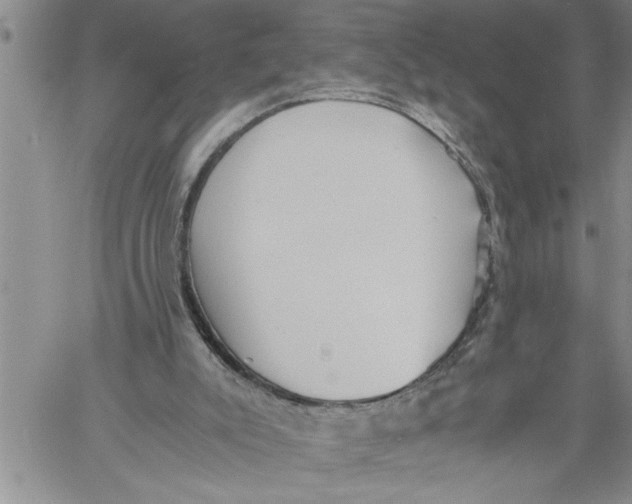 X0000060550007200511241237