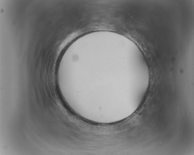 X0000060550008200511241237