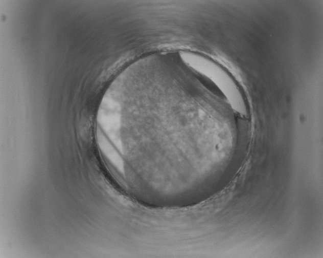 X0000060550009200511241237