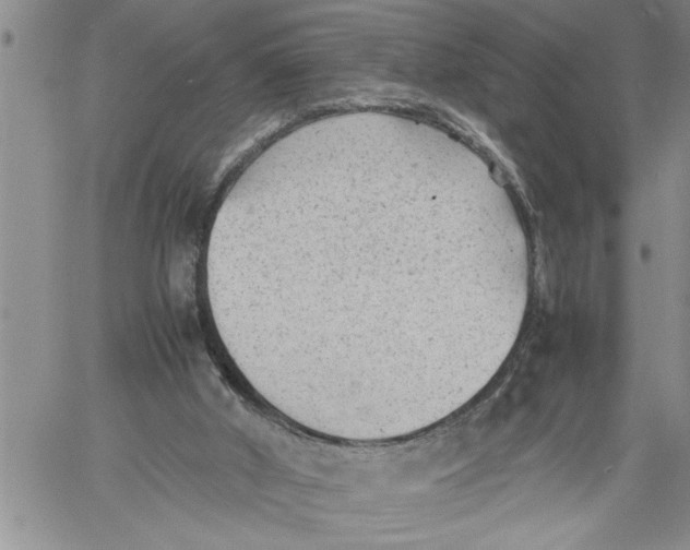 X0000060550010200511241237