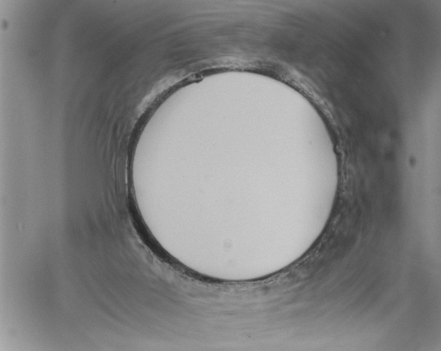 X0000060550011200511241237