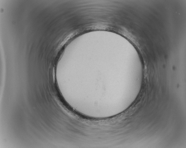 X0000060550013200511241237