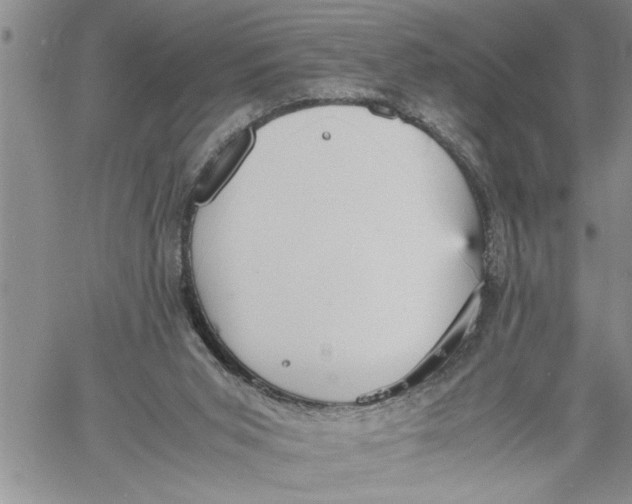 X0000060550015200511241237