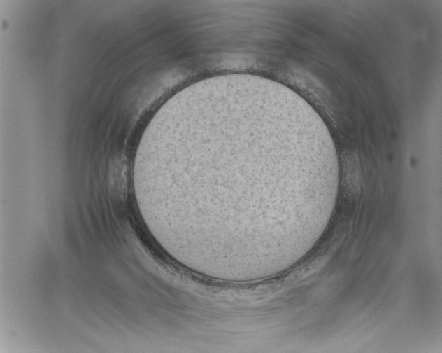 X0000060550016200511241237