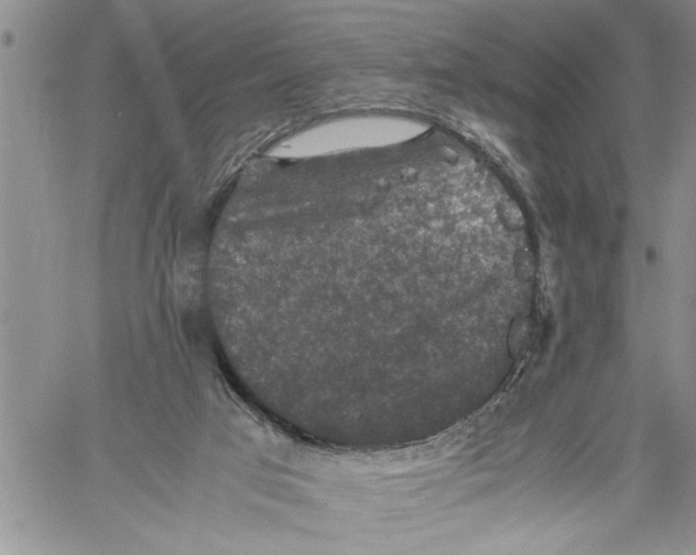 X0000060550017200511241237