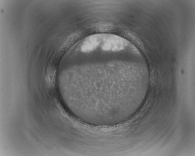 X0000060550018200511241237