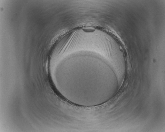 X0000060550019200511241237