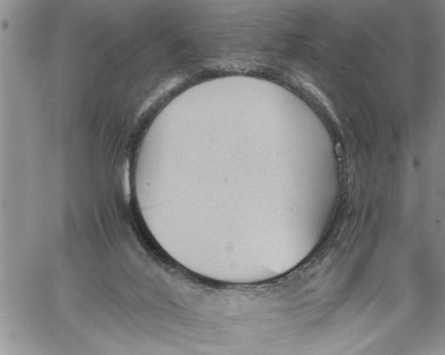 X0000060550020200511241237