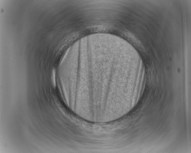 X0000060550022200511241236