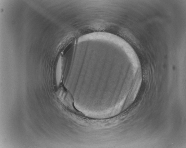 X0000060550023200511241236