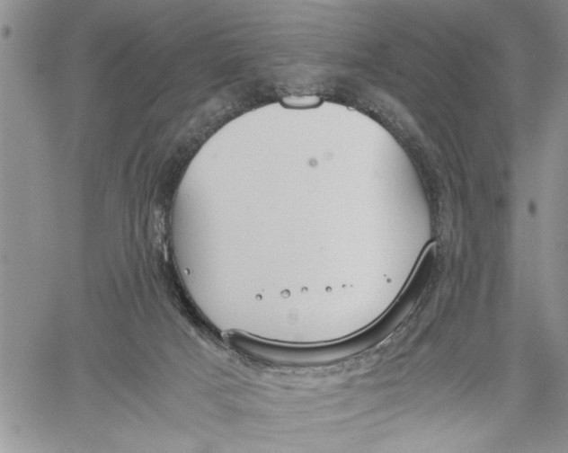 X0000060550025200511241236