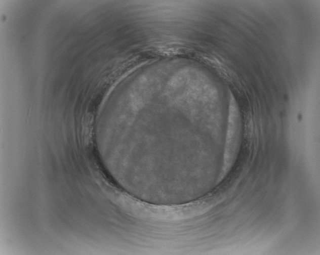 X0000060550030200511241236