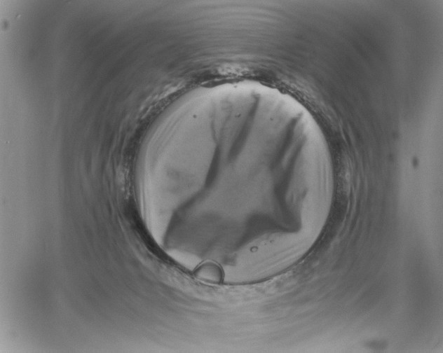 X0000060550031200511241236