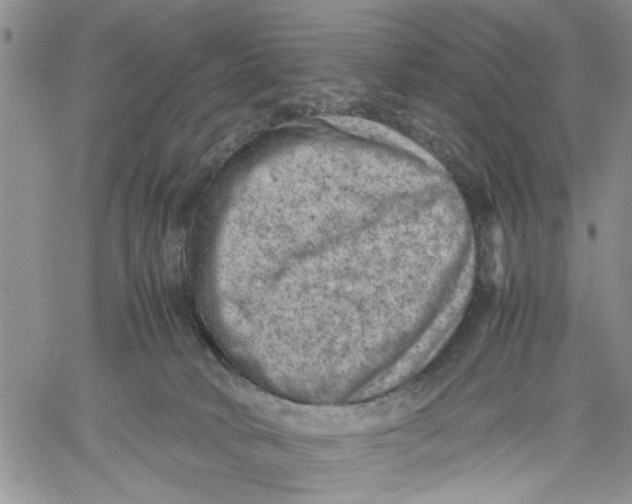 X0000060550034200511241236