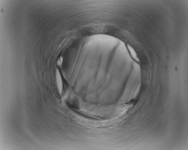 X0000060550035200511241236