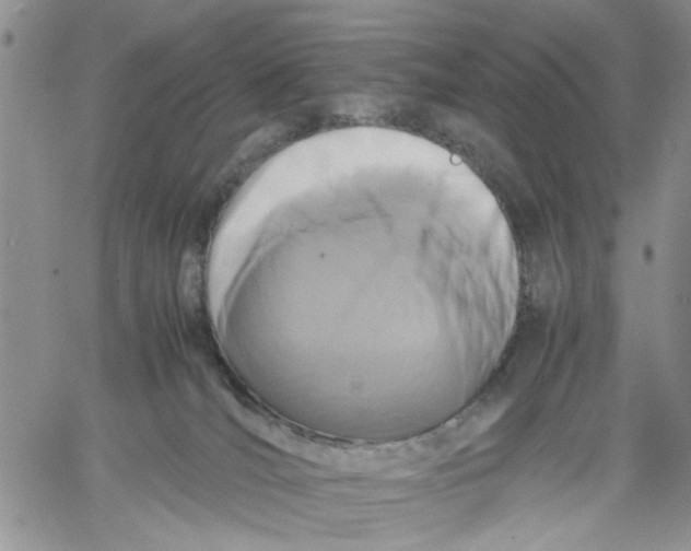 X0000060550036200511241236